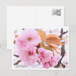 Cherry Blossom "Hanagasa" Briefkaart