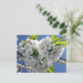 Cherry blossom hart briefkaart (Staand voorkant)