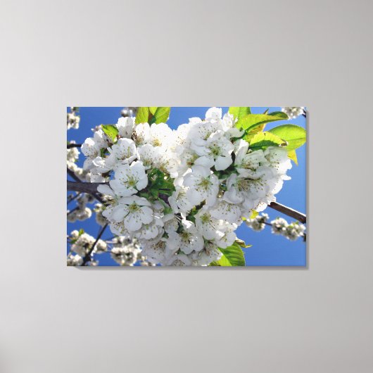 Cherry blossom hart canvas afdruk (Voorkant)