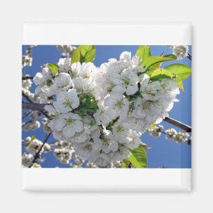 Cherry blossom hart magneet