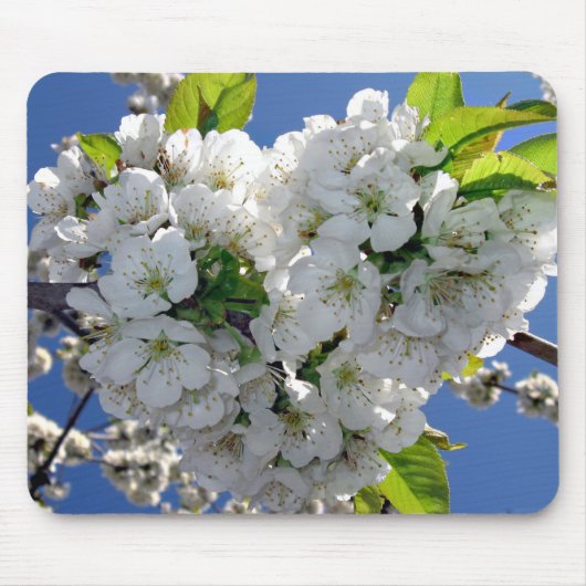 Cherry blossom hart muismat (Voorkant)