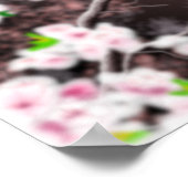 Cherry Blossom Haven Print (Hoek)