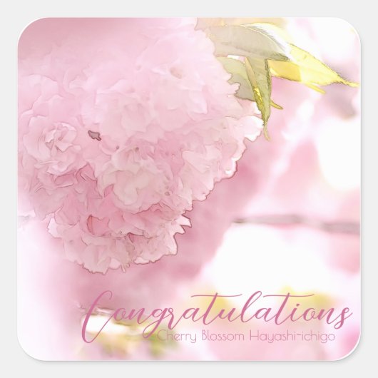 Cherry Blossom "Hayashi-ichigo" スクエアシール Vierkante Sticker (Voorkant)