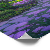 Cherry Blossom Hideaway Poster (Hoek)