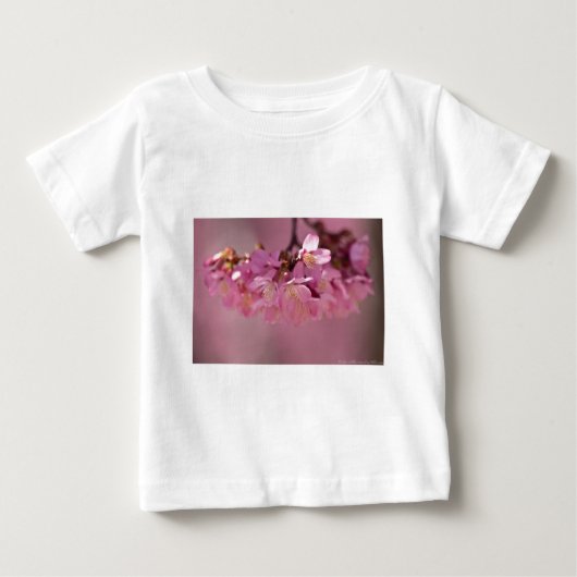 Cherry Blossom Hot Spring 2012 Apparel & Gifts (Voorkant)