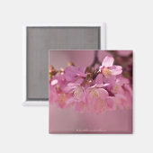 Cherry Blossom Hot Spring 2012 Apparel & Gifts Magneet (Voorkant / Achterkant)