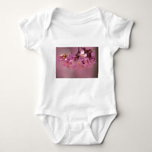 Cherry Blossom Hot Spring 2012 Apparel & Gifts Romper (Voorkant)