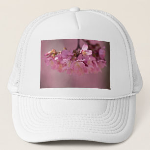 Cherry Blossom Hot Spring 2012 Apparel & Gifts Trucker Pet