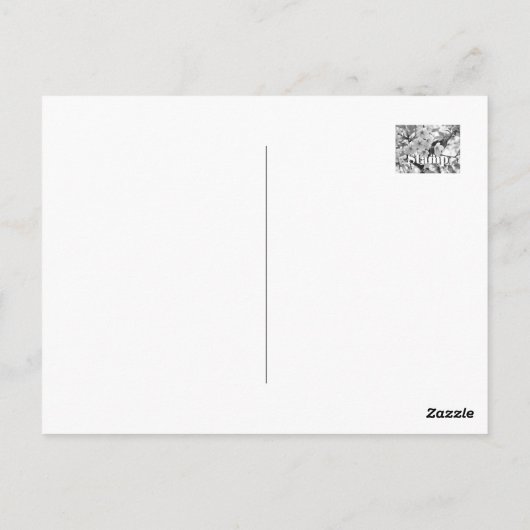 Cherry Blossom: Hotate Briefkaart (Achterkant)