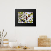 Cherry Blossom: Hotate Poster (Keuken)