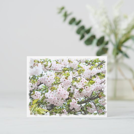 Cherry Blossom "Ichiyo" Briefkaart (Staand voorkant)