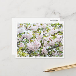 Cherry Blossom "Ichiyo" Briefkaart