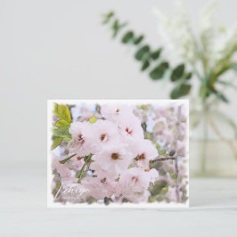Cherry Blossom "Ichiyo" Briefkaart
