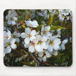 Cherry Blossom II Muismat