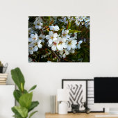 Cherry Blossom II Poster (Thuiskantoor)