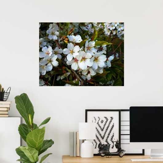 Cherry Blossom II Poster (Thuiskantoor)