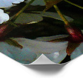 Cherry Blossom II Poster (Hoek)