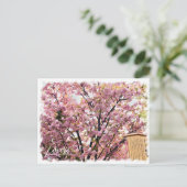 Cherry Blossom "Imose" ポストカード Briefkaart (Staand voorkant)