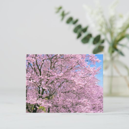 Cherry Blossom in Bloom Briefkaart (Staand voorkant)