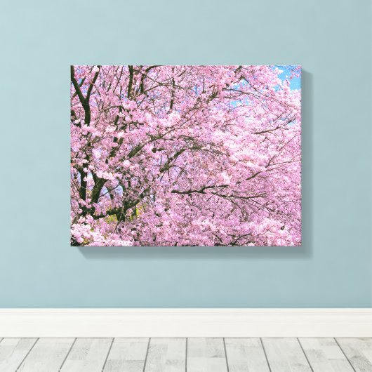 Cherry Blossom in Bloom Canvas Afdruk (Insitu (Houten vloer))