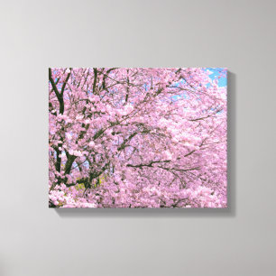 Cherry Blossom in Bloom Canvas Afdruk