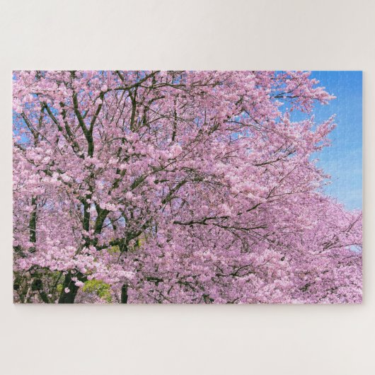 Cherry Blossom in Bloom Legpuzzel (Horizontaal)