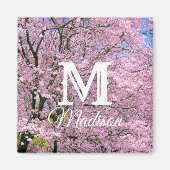 Cherry Blossom in Bloom Magneet (Voorkant)