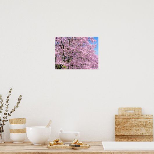 Cherry Blossom in Bloom Poster (Keuken)