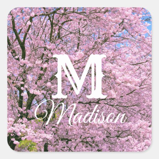 Cherry Blossom in Bloom Vierkante Sticker (Voorkant)