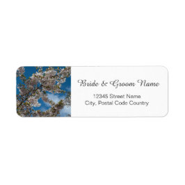 cherry blossom in blue sky bride and groom address etiket