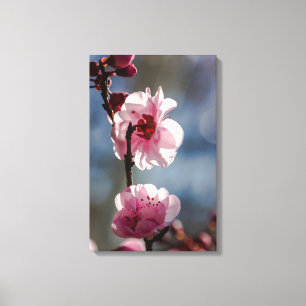Cherry Blossom in de Sunshine Triptych Art Canvas Afdruk