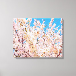 Cherry Blossom in Full Bloom Canvas Afdruk