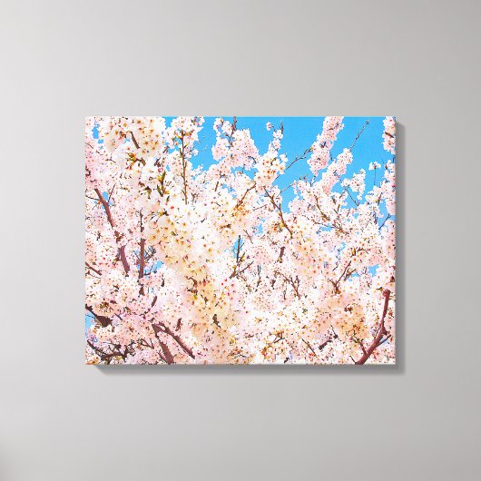Cherry Blossom in Full Bloom Canvas Afdruk (Voorkant)