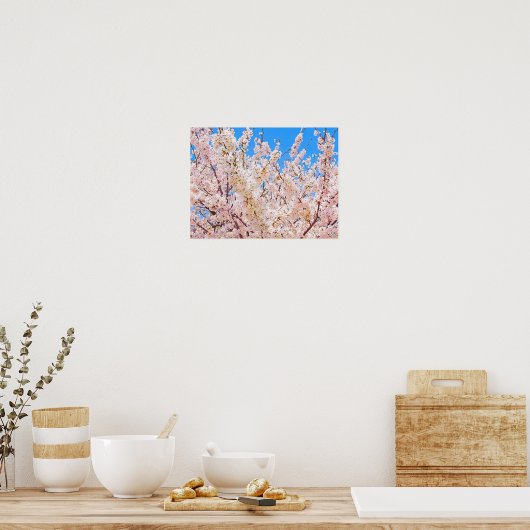 Cherry Blossom in Full Bloom Poster (Keuken)