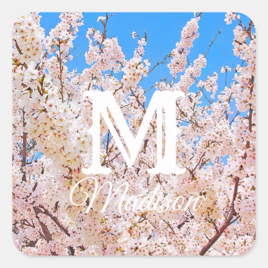 Cherry Blossom in Full Bloom Vierkante Sticker (Voorkant)
