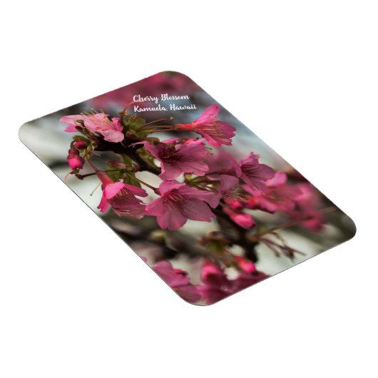 Cherry Blossom in Hawaii Magneet (Rechterzijde)
