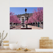 Cherry Blossom in Hot Springs Arkansas Poster (Keuken)