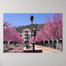 Cherry Blossom in Hot Springs Arkansas Poster