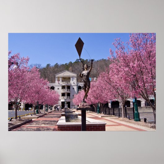 Cherry Blossom in Hot Springs Arkansas Poster (Voorkant)