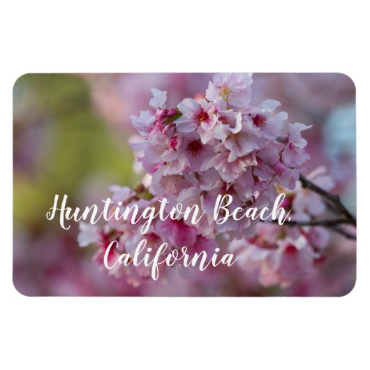 Cherry Blossom in Huntington Beach Magneet (Horizontaal)