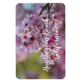 Cherry Blossom in Huntington Beach Magneet