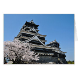 Cherry Blossom in Japan