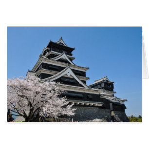 Cherry Blossom in Japan