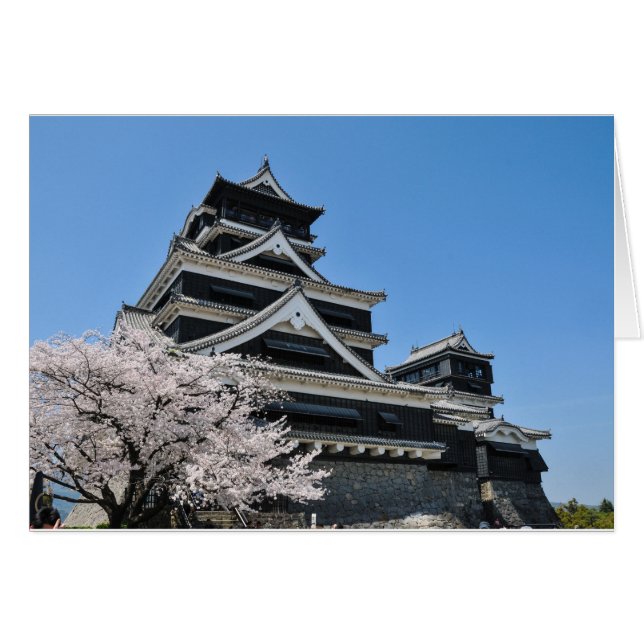 Cherry Blossom in Japan (Voorkant Horizontaal)