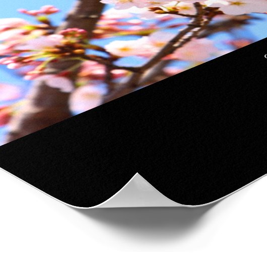 Cherry Blossom in Japan Poster (Hoek)