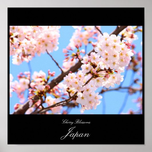 Cherry Blossom in Japan Poster (Voorkant)