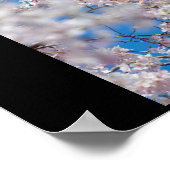 Cherry Blossom in Japan Poster (Hoek)