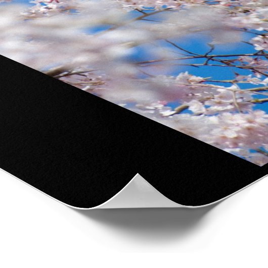 Cherry Blossom in Japan Poster (Hoek)