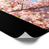 Cherry Blossom in Japan Poster (Hoek)