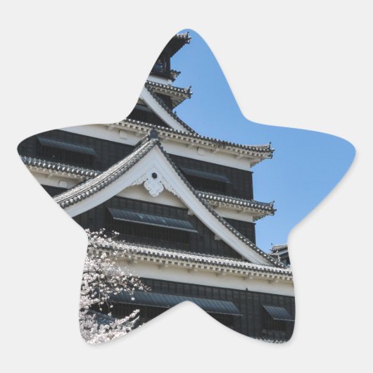 Cherry Blossom in Japan Ster Sticker (Voorkant)